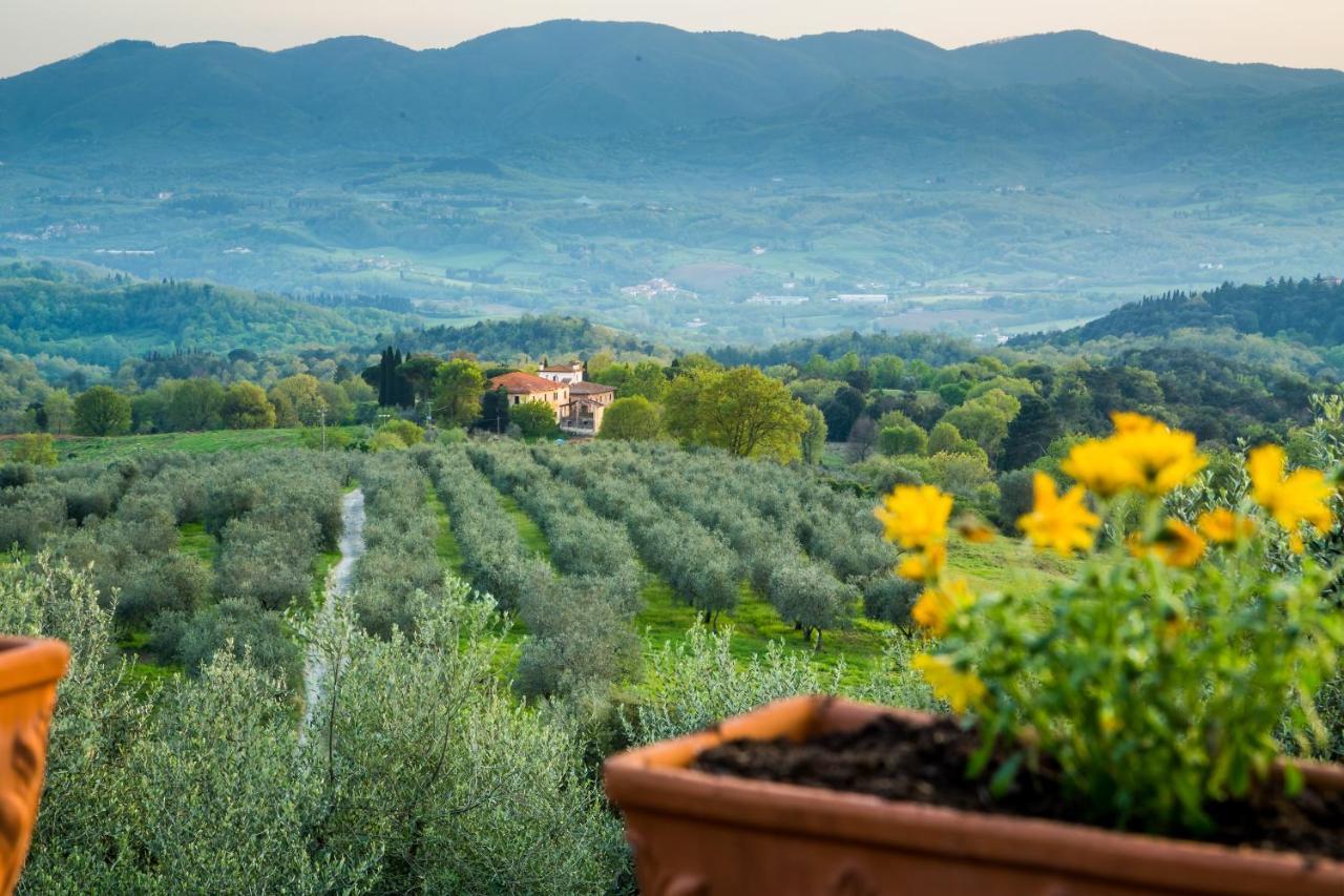 Bed and Breakfast I Trebbiali à Reggello Extérieur photo