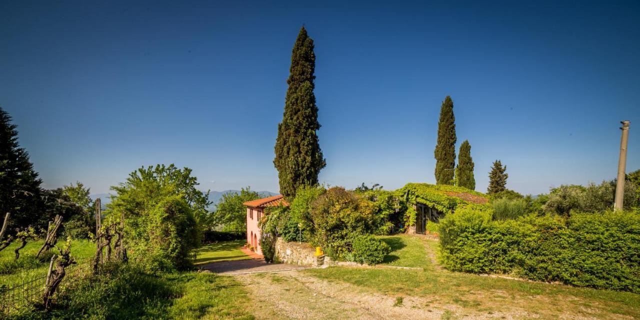 Bed and Breakfast I Trebbiali à Reggello Extérieur photo